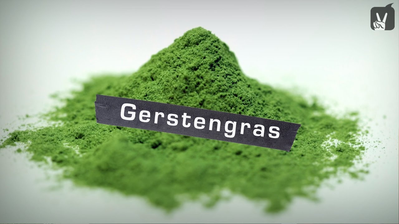 Gerstengras &ndash; Welche Wirkung hat Gerstengras?
