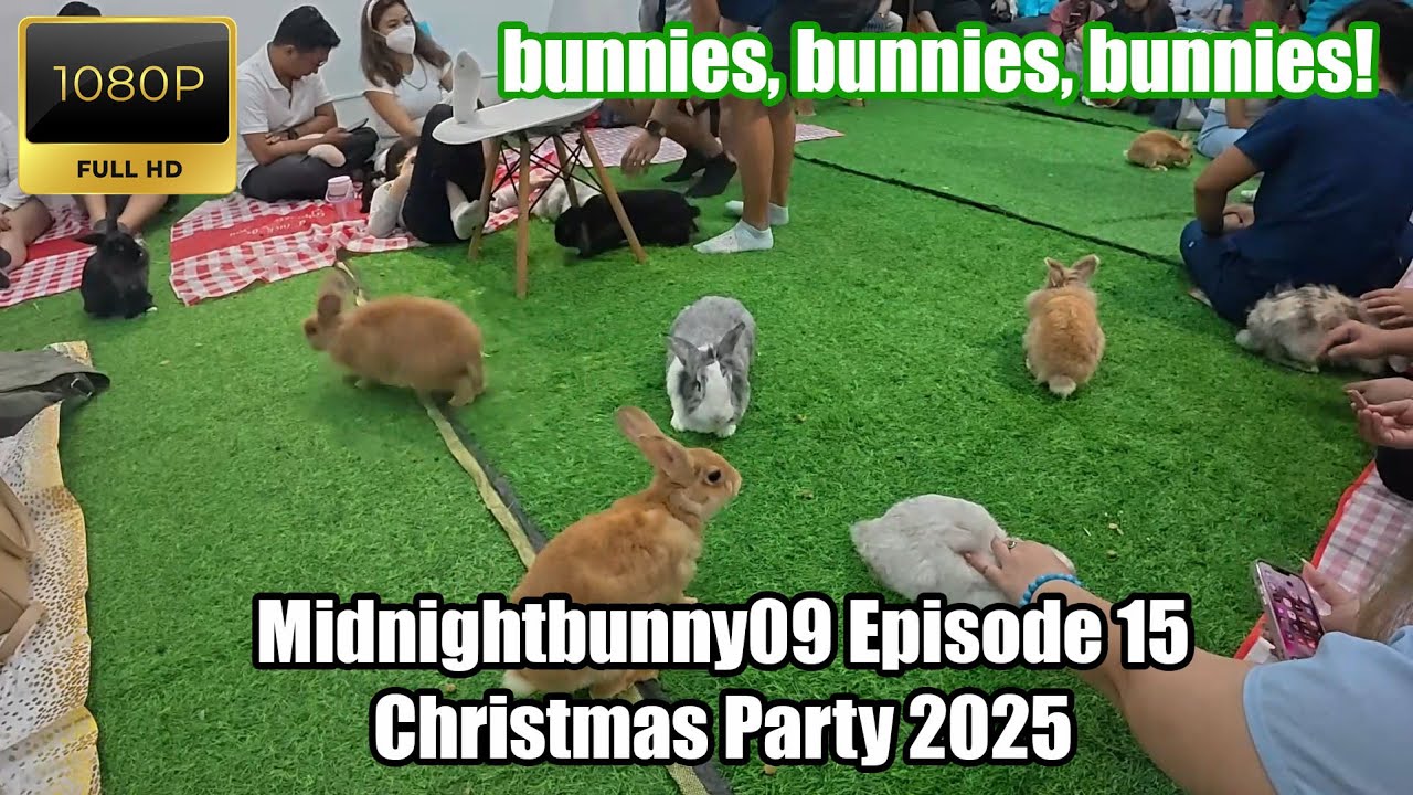 Bunnies of Ph Christmas Party 2025 [Midnightbunny09 S01E15]