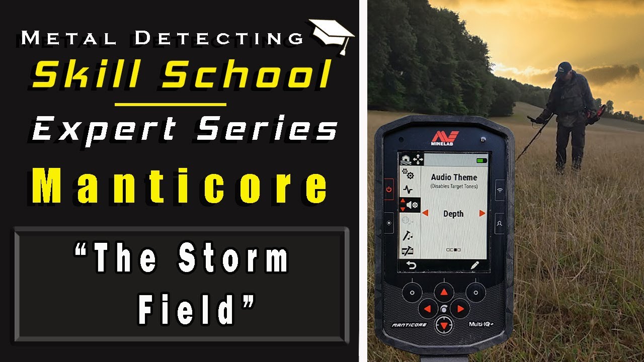 Exploring a new field with your metal detector