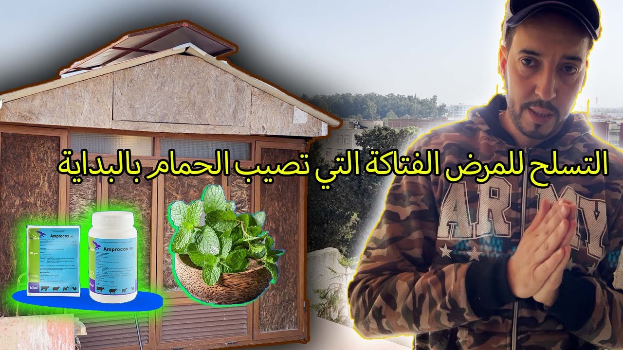 هام جدا🥵ماهي أعراضAdeno المرض القاتل الذي يصيب حمام السباق 🦠 🕊والأدوية المناسبة لمحاربته