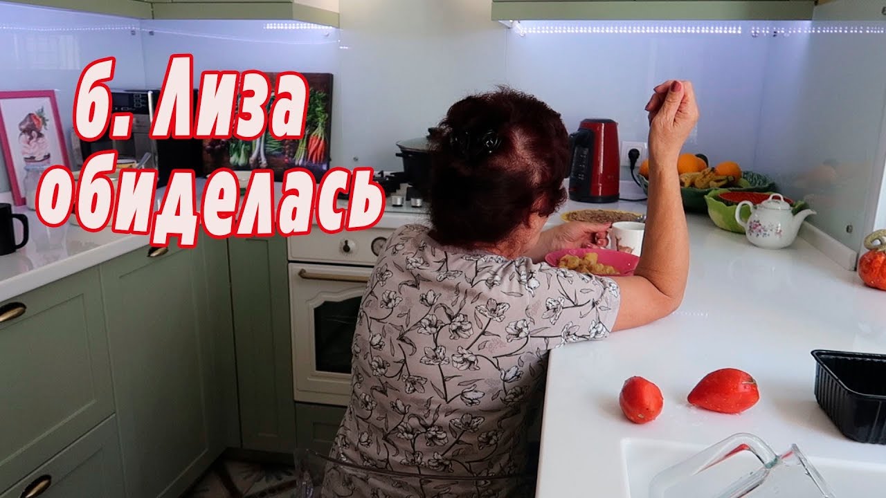 VLOG: Бабушка Лиза с нами не разговаривает