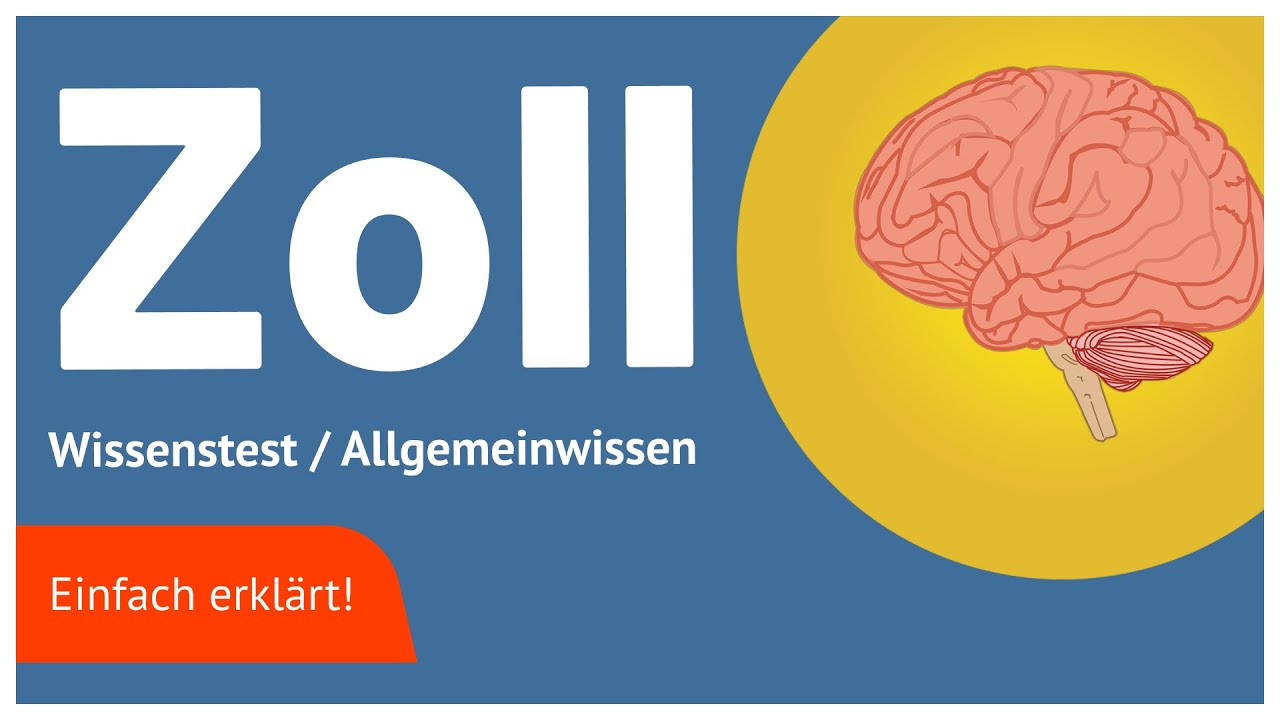 Zoll Wissenstest / Zoll Allgemeinwissen: Alle Beispiele und Tipps I Kostenloses Webinar