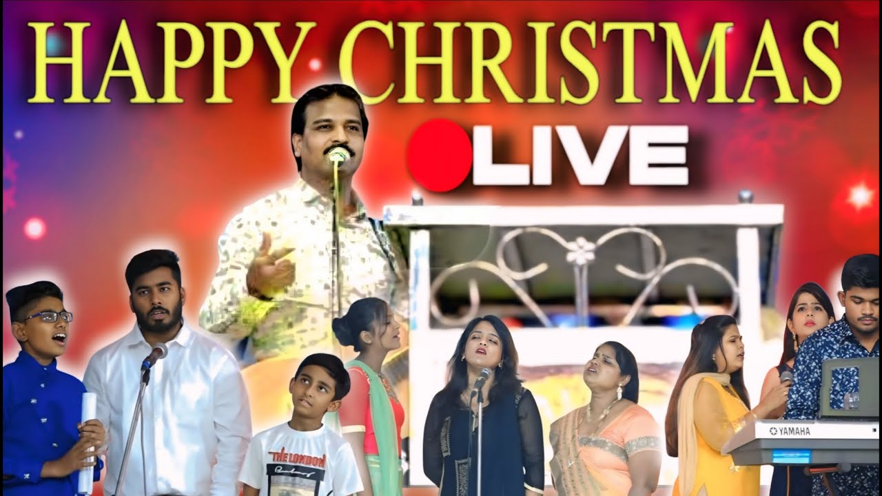 Christmas Celebration 24X7 New Latest Songs and Dance in 
