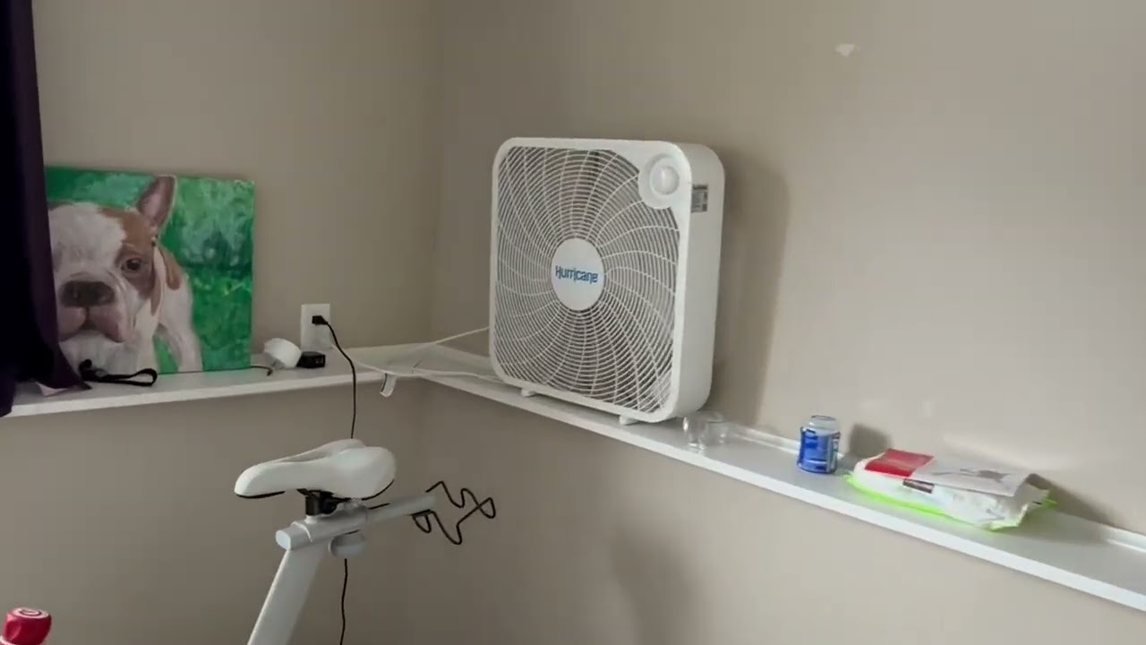 My HONEST Review of Hurricane Box Fan   20 Inch, Classic Series, Floor Fan!