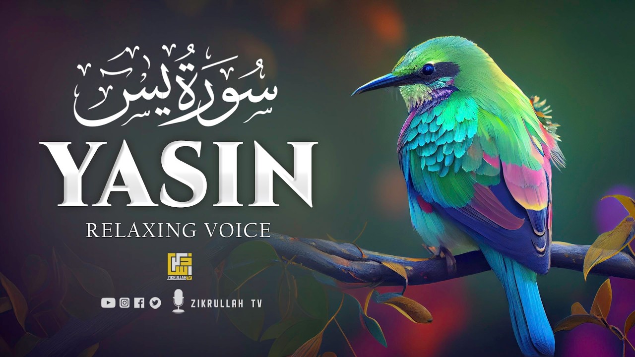 Surah Yaseen (Yasin) سورة يس | Ultimate Relaxing Quran Will Touch Your Heart إن شاء الله #surahyasin