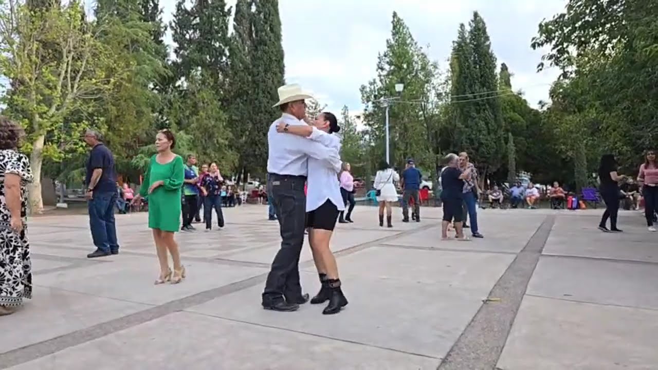 CHIHUAHUA BAILANDO OFFICIAL está en vivo