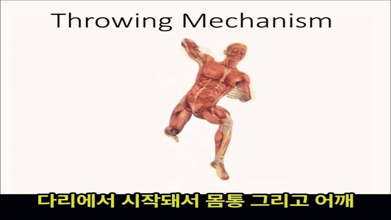피칭 동작, 야구 공 던지기 동작의 메카니즘