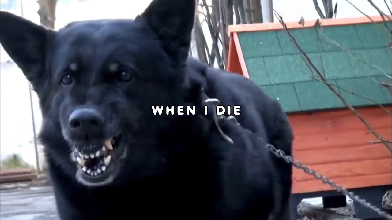 $UICIDEBOY$ - WHEN I DIE (LYRIC VIDEO)