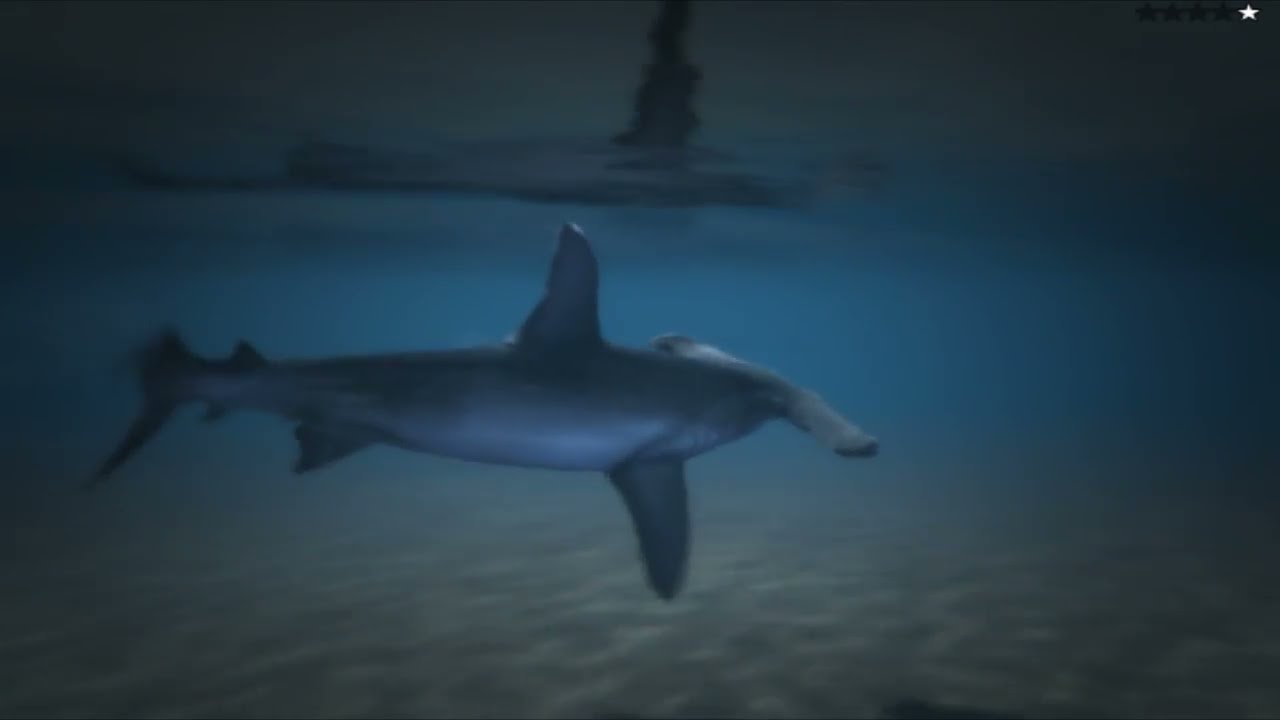 GTA 5 PC Gameplay - Play as animal (Dog, Cat, Shark, Pig)