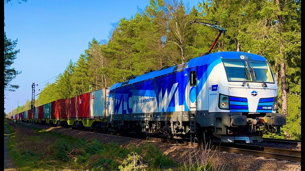 Zug in Lüneburg - Im Wald bei KBS 110 Hamburg - Hannover
