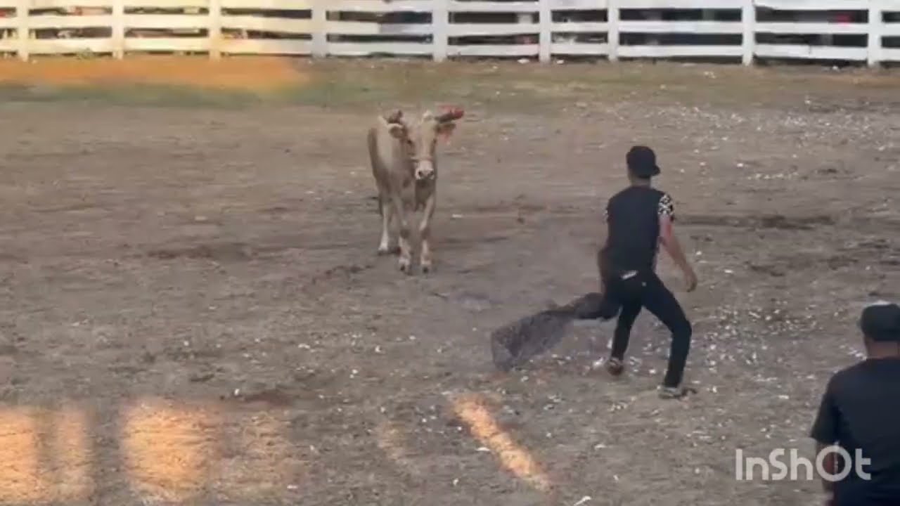 Fuimos a los toros en amuco/septiembre /29/2025 y esto paso😱😱