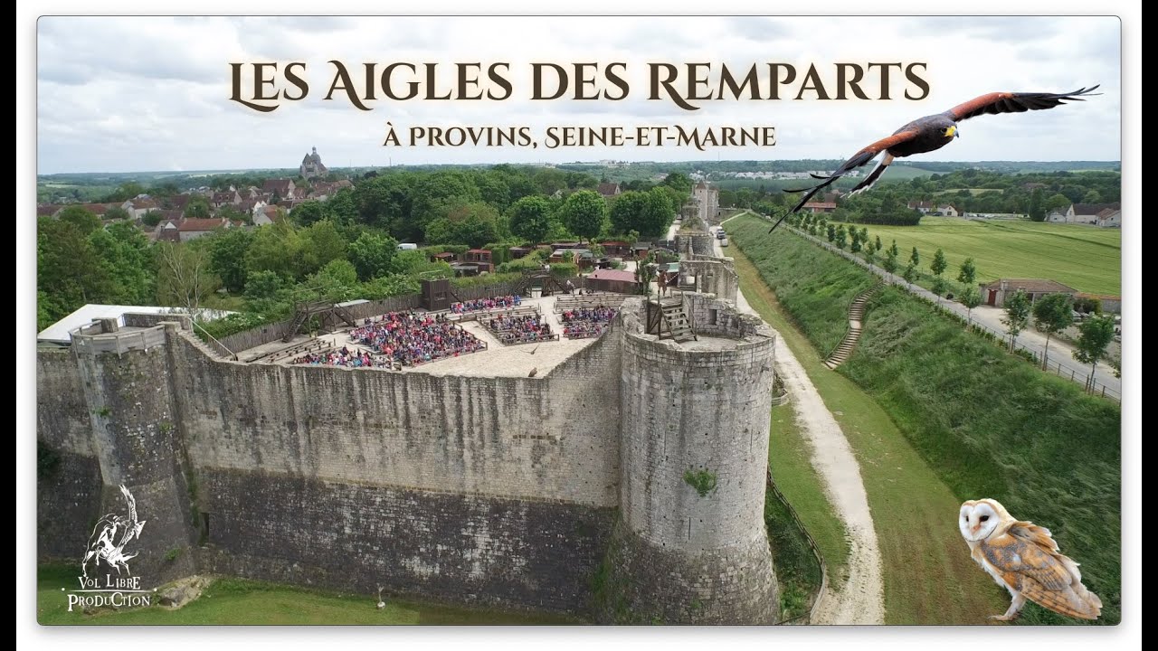 Les Aigles des Remparts - Provins. Teaser