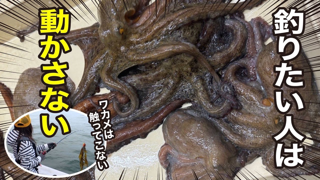 【タコ釣り】釣果の差が出過ぎてビックリします｜ガッ釣り260