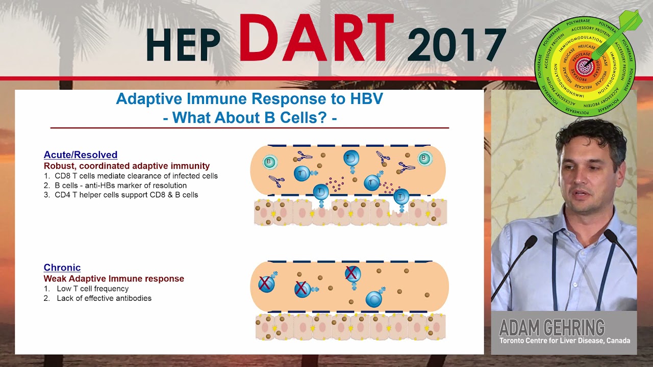 Immunology of HBV | Adam Gehring, PhD
