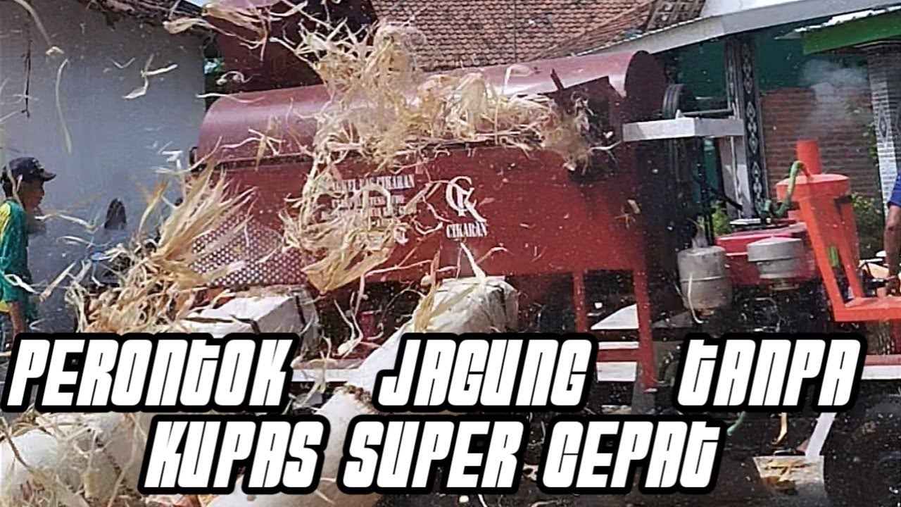 mesin perontok jagung tanpa kupas conveyor super cepat