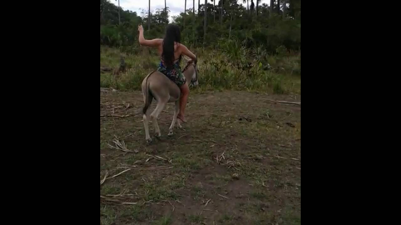 Andando de Jegue na Baixa da Égua