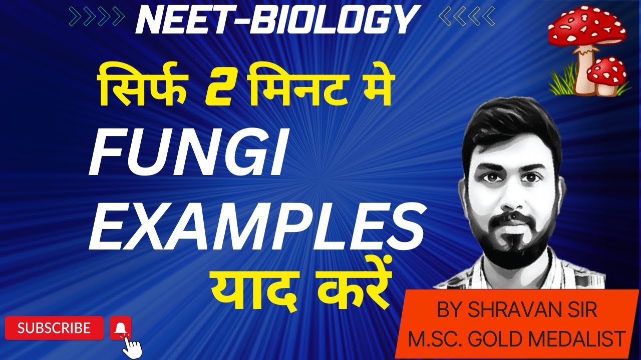 Short tricks for FUNGI Examples | NEET BIOLOGY |Phycomycetes Ascomycetes| Basidio and Deuteromycetes