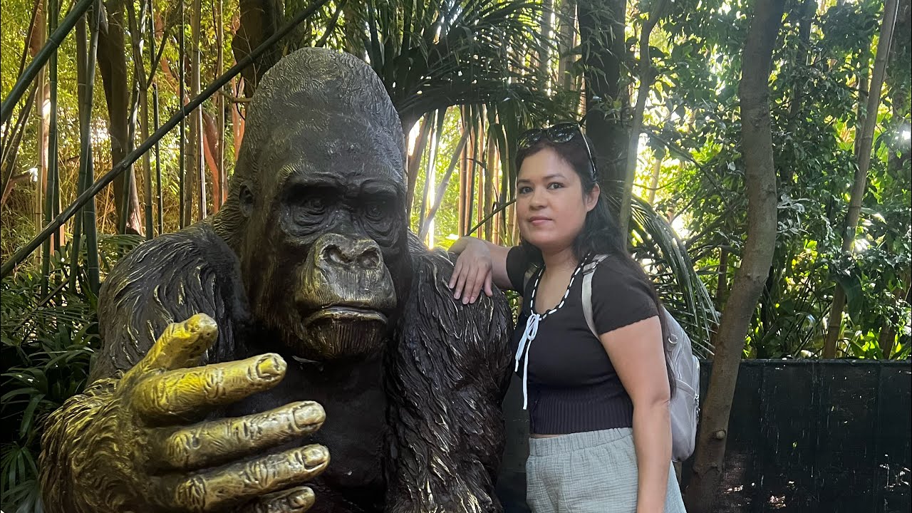 Melbourne Zoo full tour with us||A trip to Melbourne Zoo🇦🇺#melbournezoo 