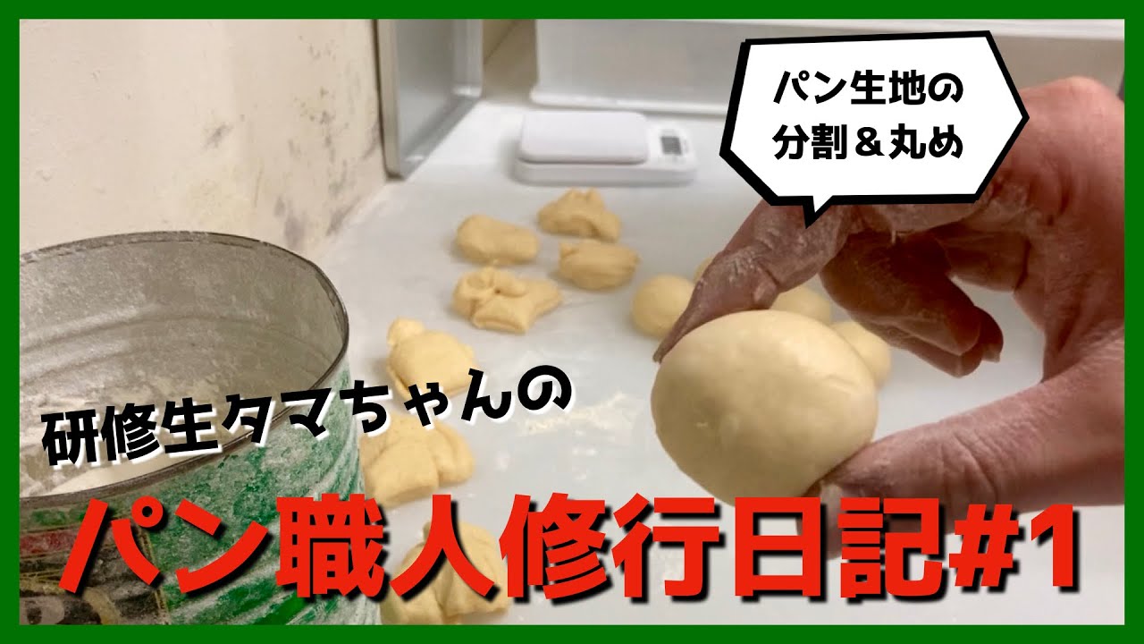 【パン職人修行】研修生タマちゃんのパン職人修行日記#1【生地の分割＆丸め】