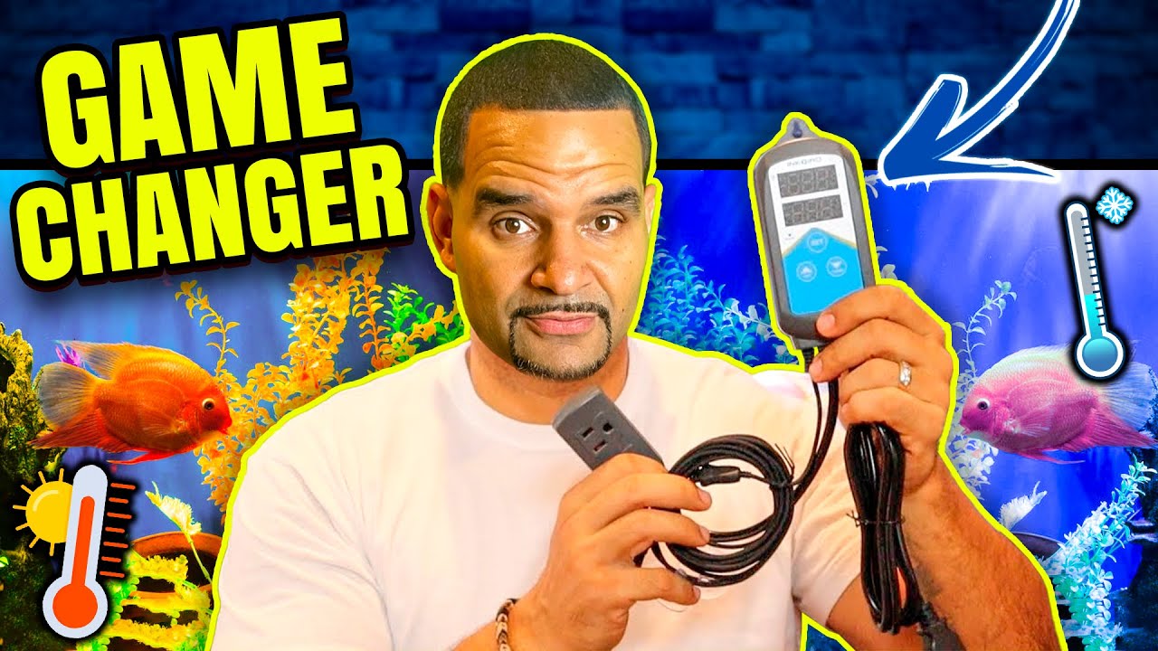 Aquarium Heater DEATH! Unless you have a Backup Plan.