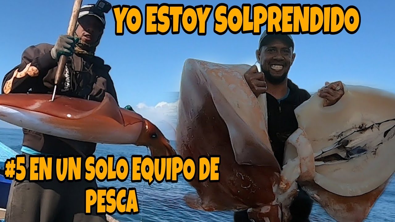 HOY PESQUE #5 CALAMARES GIGANTE EN UN SOLO EQUIPO ,,,(FUE UNA BUENA PESCA) #pesca