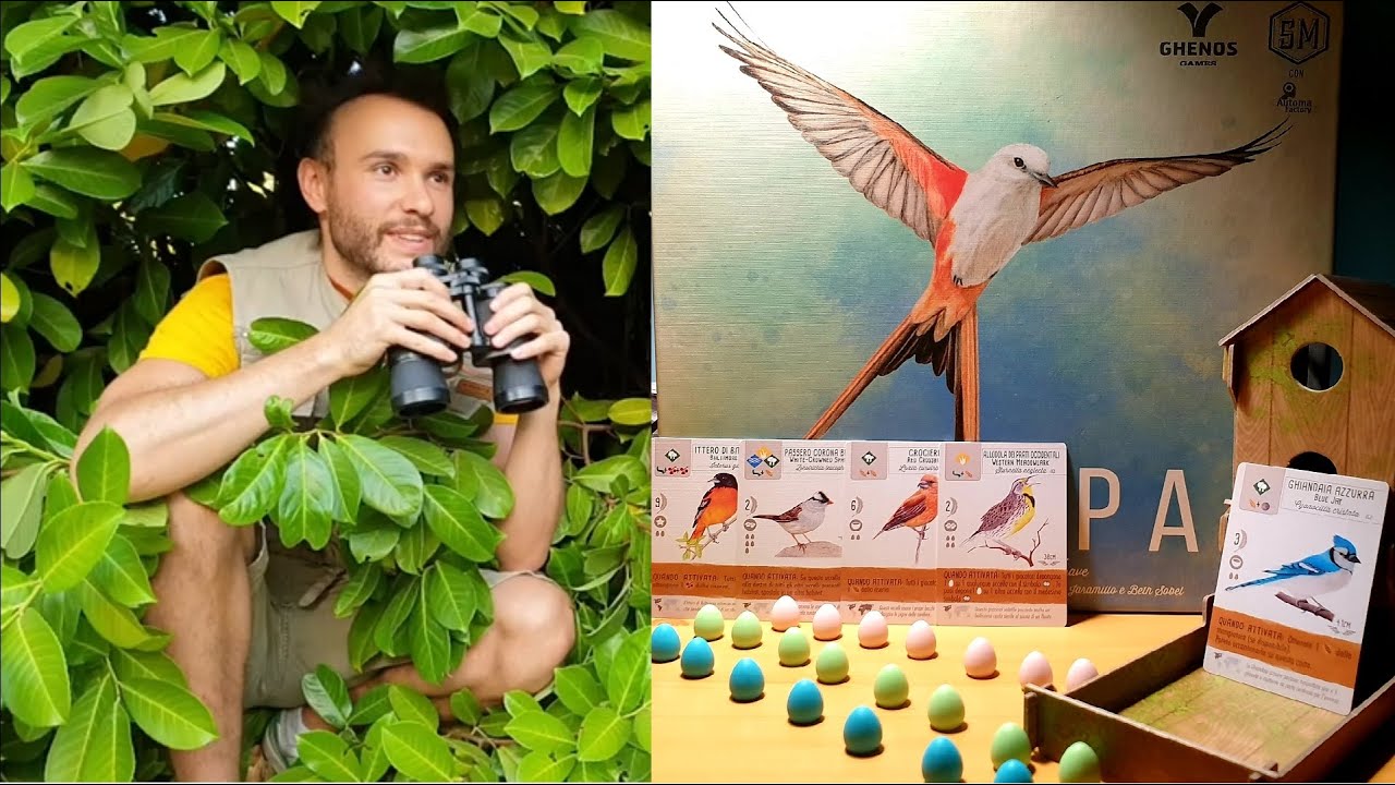 Wingspan + modalità solitario: regole complete e recensione