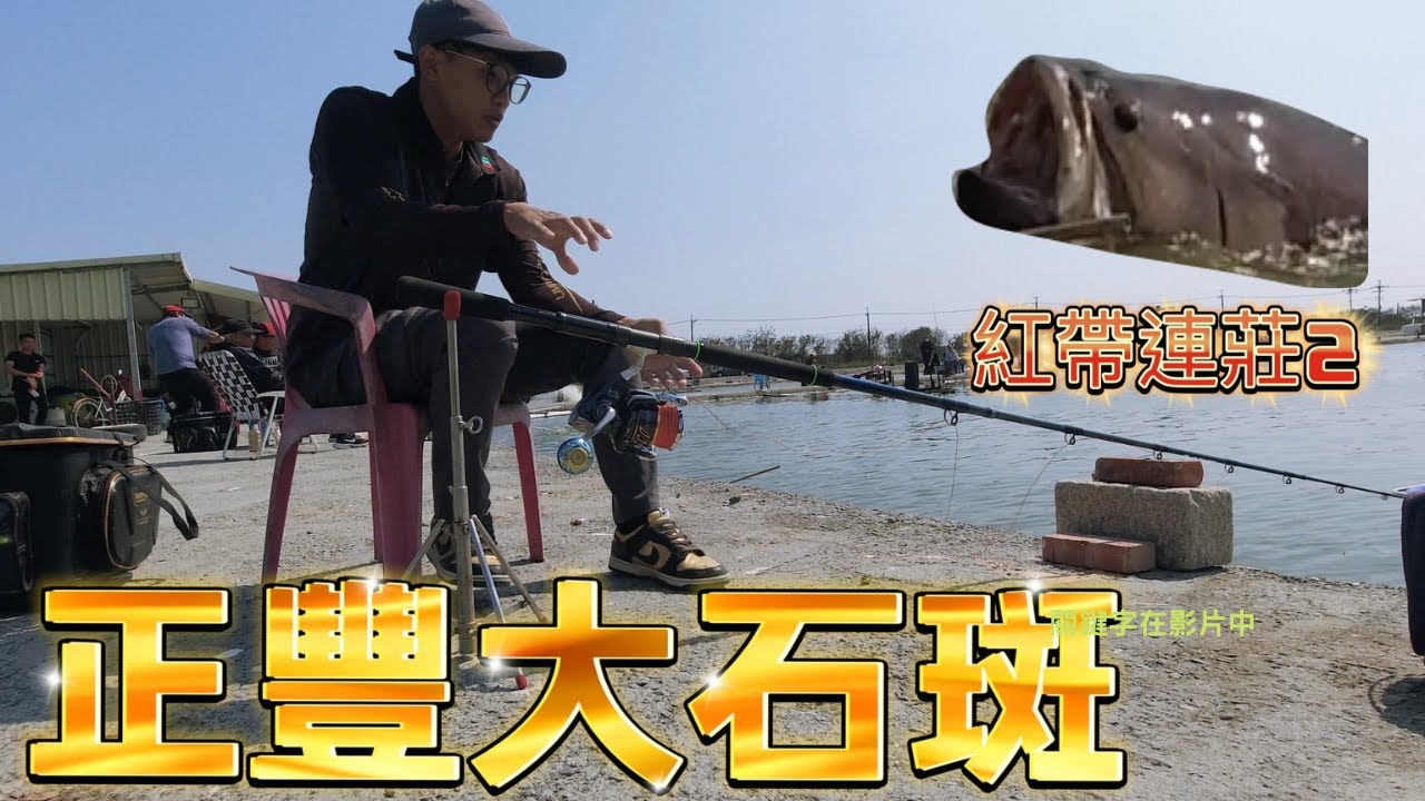 【片尾開獎手工竿】今年大班第一釣！正豐大石斑，沒貓就滿足了......