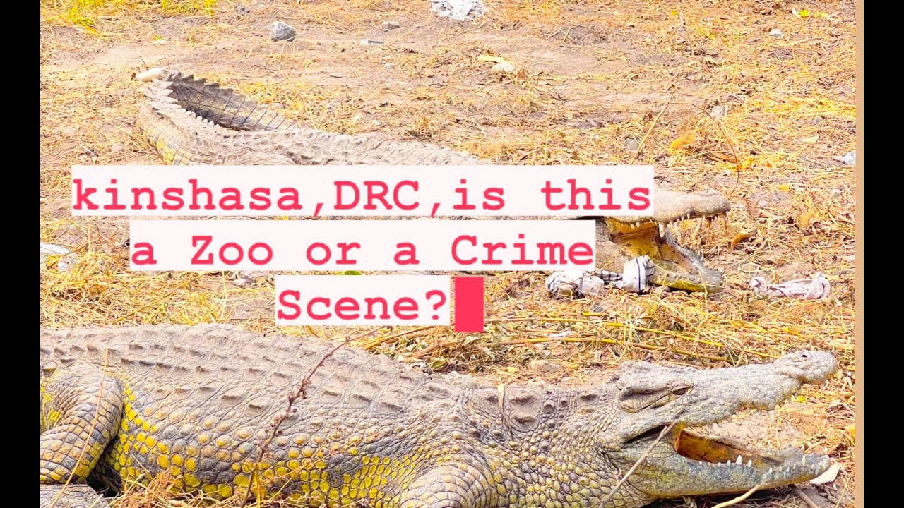 THE ZOO OF KINSHASA, THE SADDEST ZOO I EVER VISITED IN MY LIFE