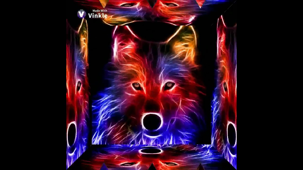 Wolf(Animals - Maroon 5)