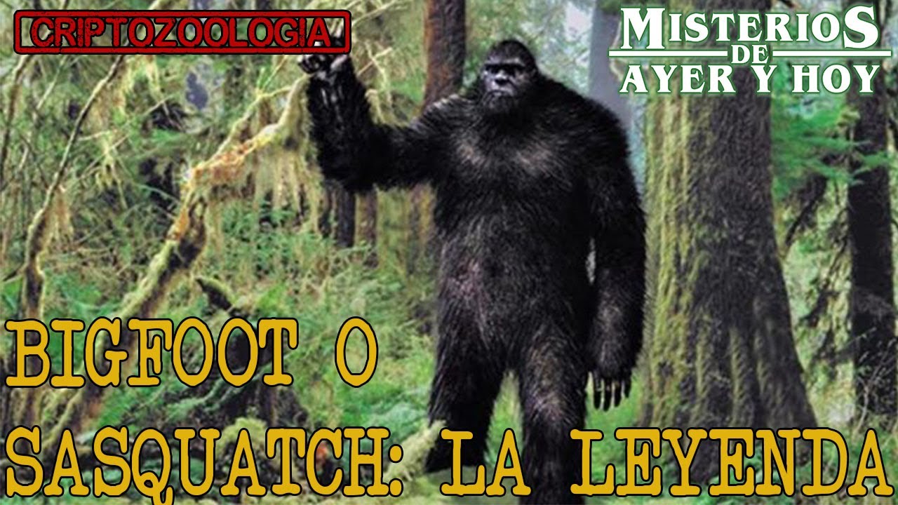 Criptozoología: Big Foot o Sasquatch | La Leyenda Viviente