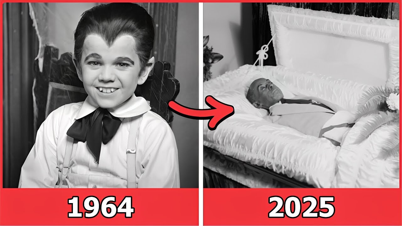 22 Beloved The Munsters Actors Who Tragically Passed Away | Then and Now 2026