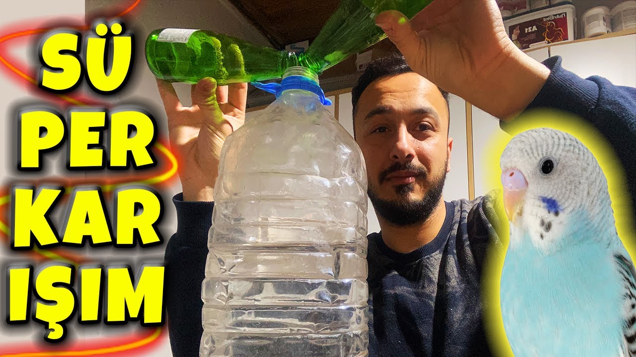 MUHABBET KUŞU DOĞAL ANTİBİYOTİK VE MİNERAL KARIŞIMI ! HEDİYEM OLSUN