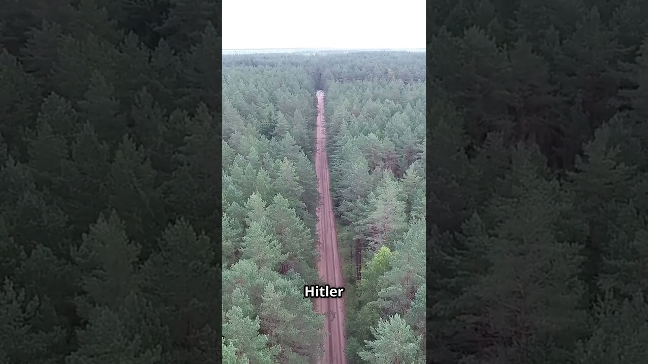 Dieses Nazi-Megaprojekt blieb jahrzehntelang geheim 🕳️ #ProjektRiese #LostPlaces #WW2Mystery