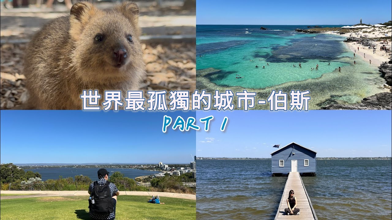 澳洲伯斯 Part 1 藍色小屋/珀斯市區/Quokka矮袋鼠/羅特尼斯島/國王公園/小天使精釀啤酒