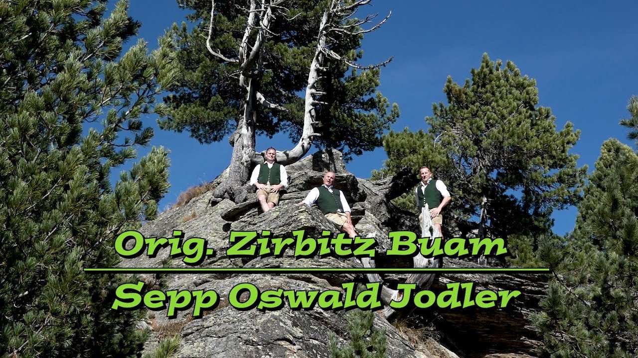 Orig. Zirbitz Buam  -  