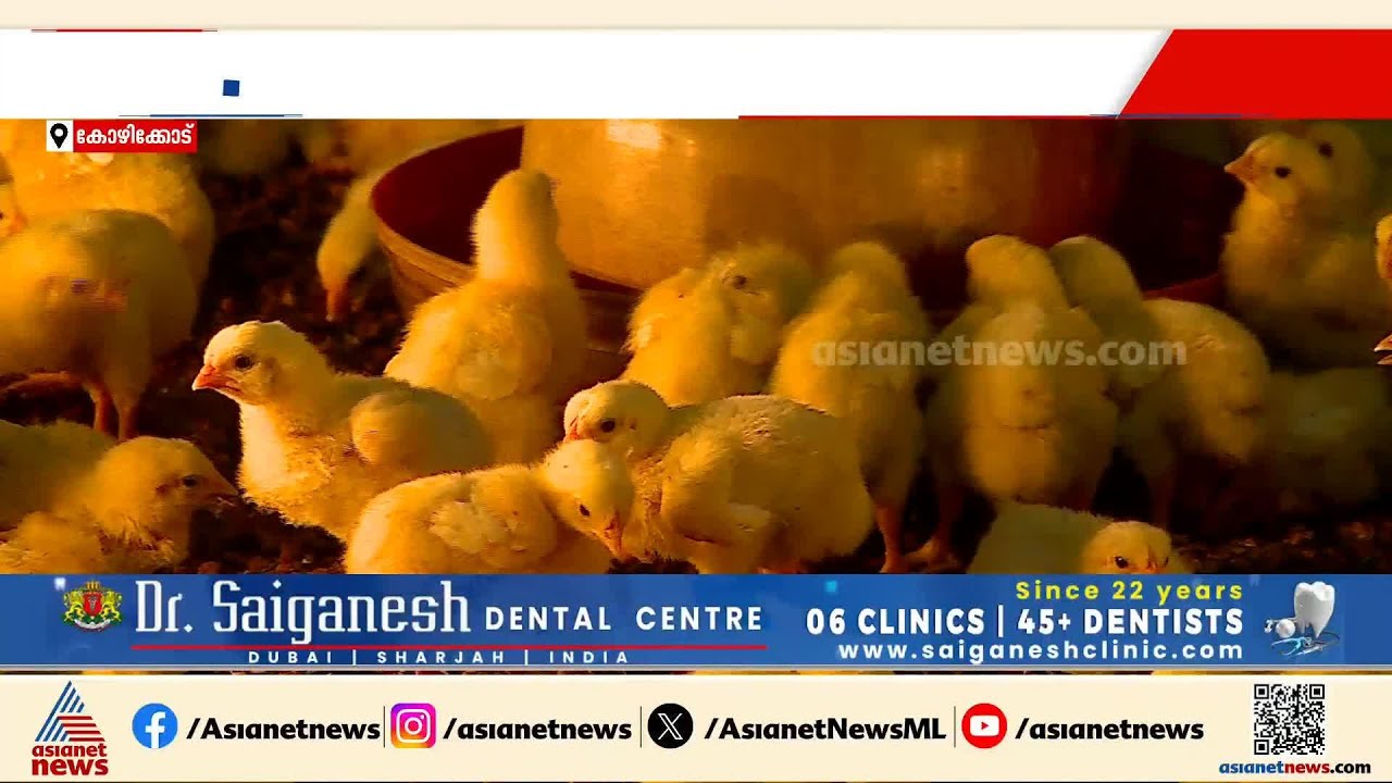 ഇനി ഇത്തിരി പൊള്ളും; സംസ്ഥാനത്ത് കോഴിയിറച്ചിക്ക്  വില കൂടി | Chicken price hike