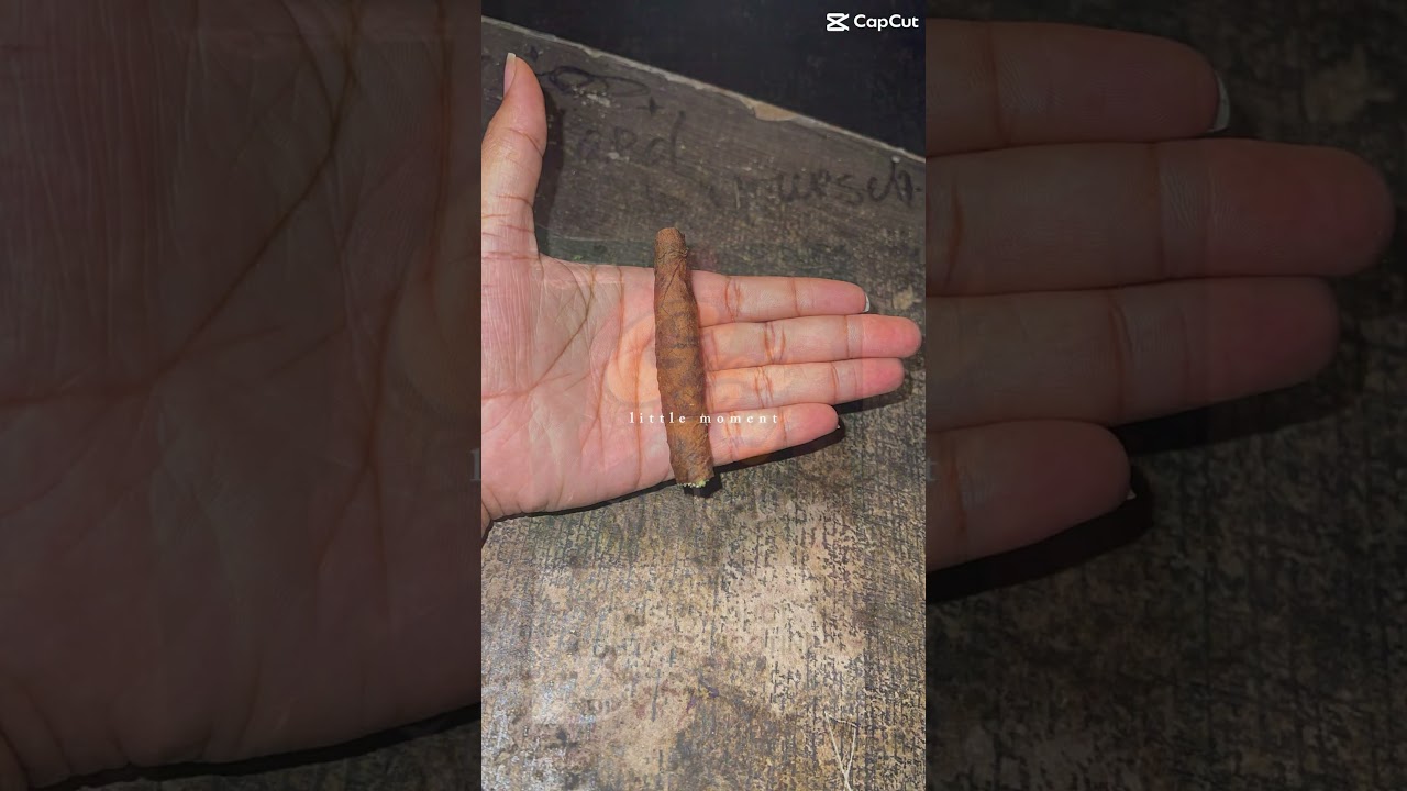 How I Roll a Grabba Leaf 💨 Don&rsquo;t Trip 💯 I&rsquo;ma Show You 😈🔥 Full Video Link In Description 💯