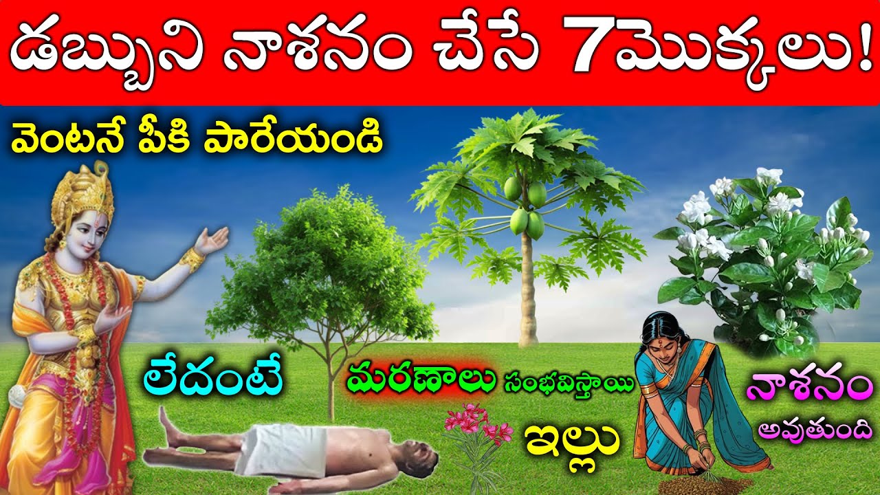 డబ్బుని నాశనం చేసే 7మొక్కలు వెంటనే పీకి పారేయండి లేదంటే మరణాలు సంభవిస్తాయి ఇల్లు నాశనమవుతుంది