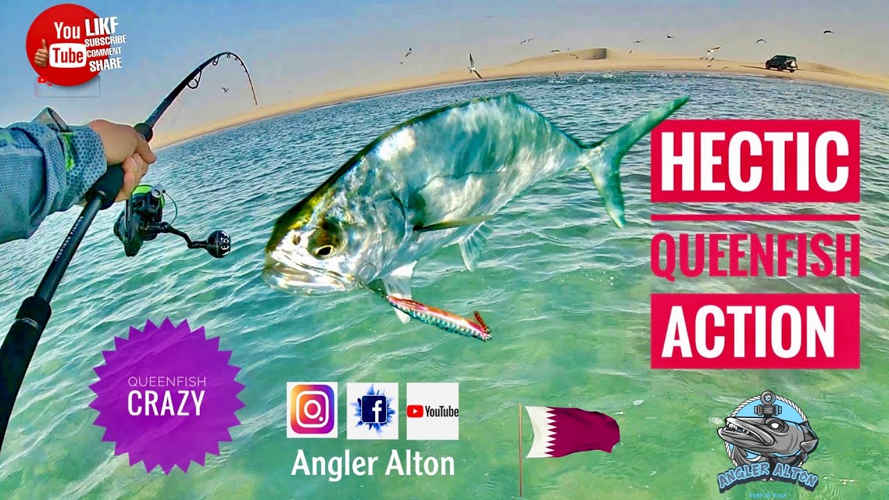 So Many Queenfish in Qatar  - Fishing in Qatar , Inland Sea