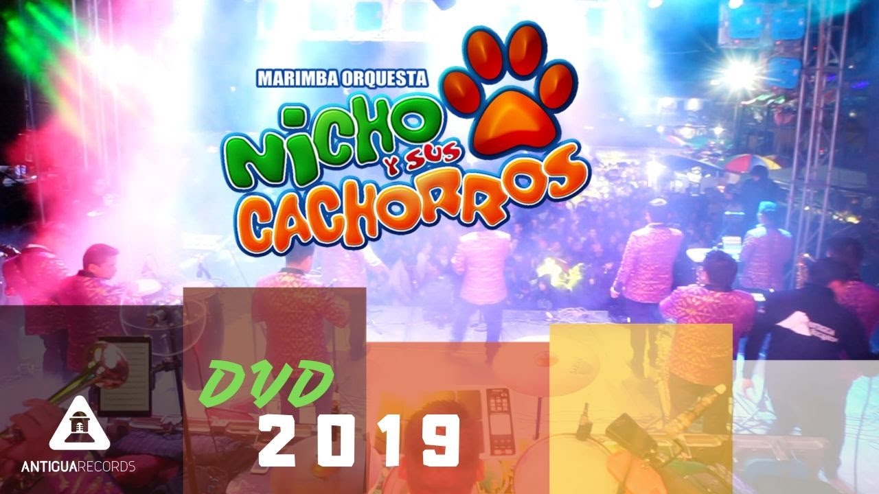 Nicho y sus Cachorros DVD COMPLETO 2019