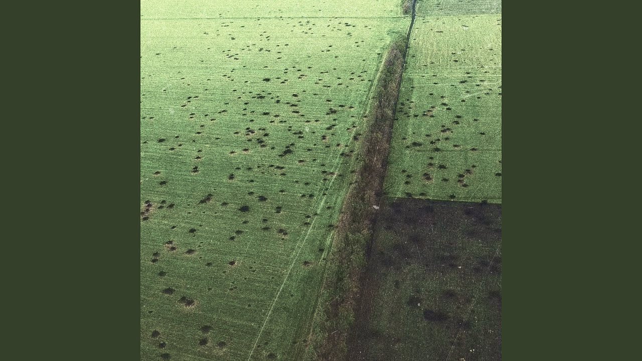 Мурашки