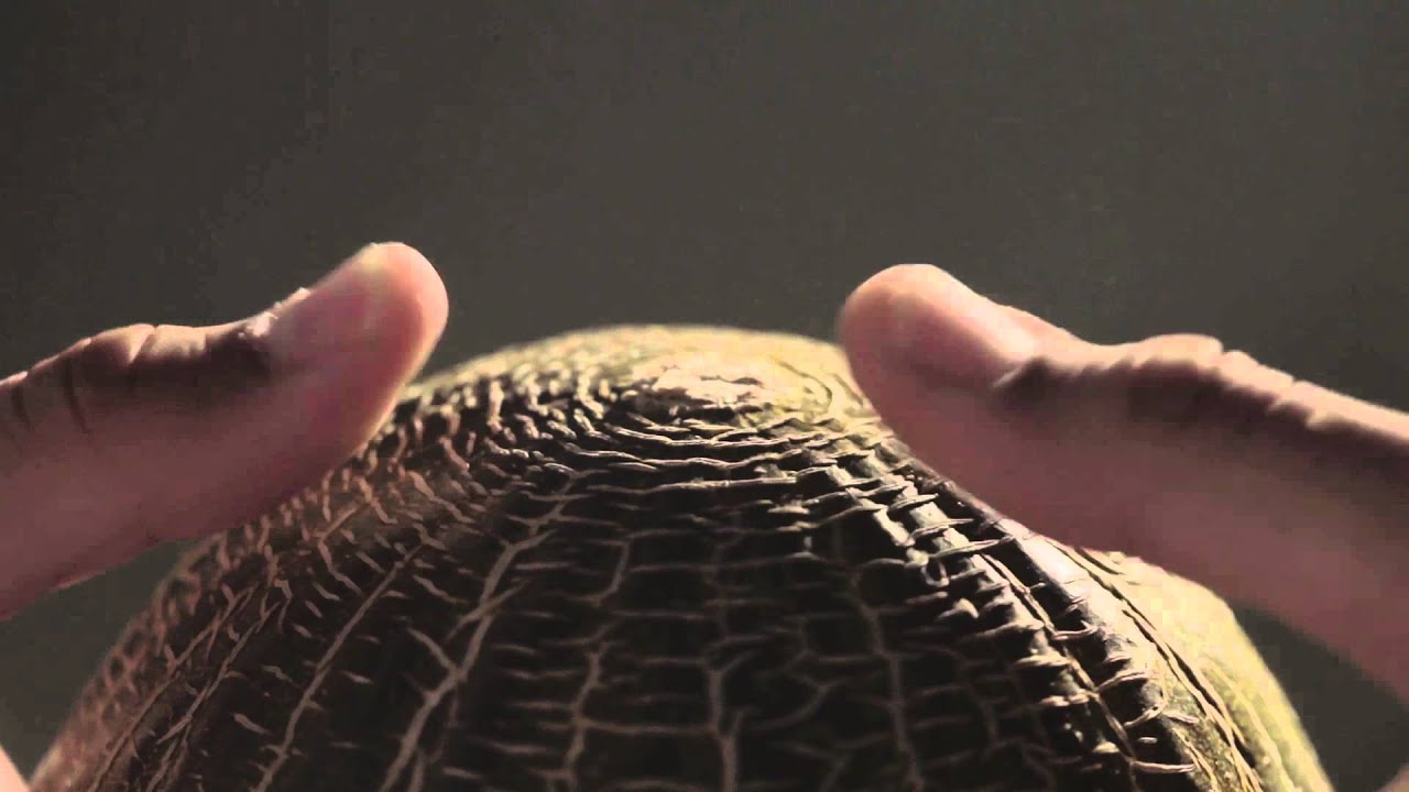 SPOT Melón de Torre-Pacheco