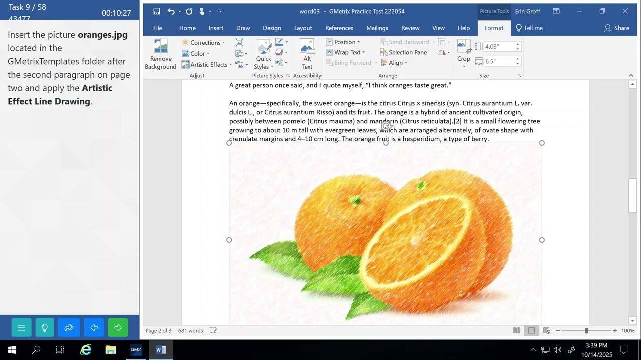 Word 2019 Skill Review 1