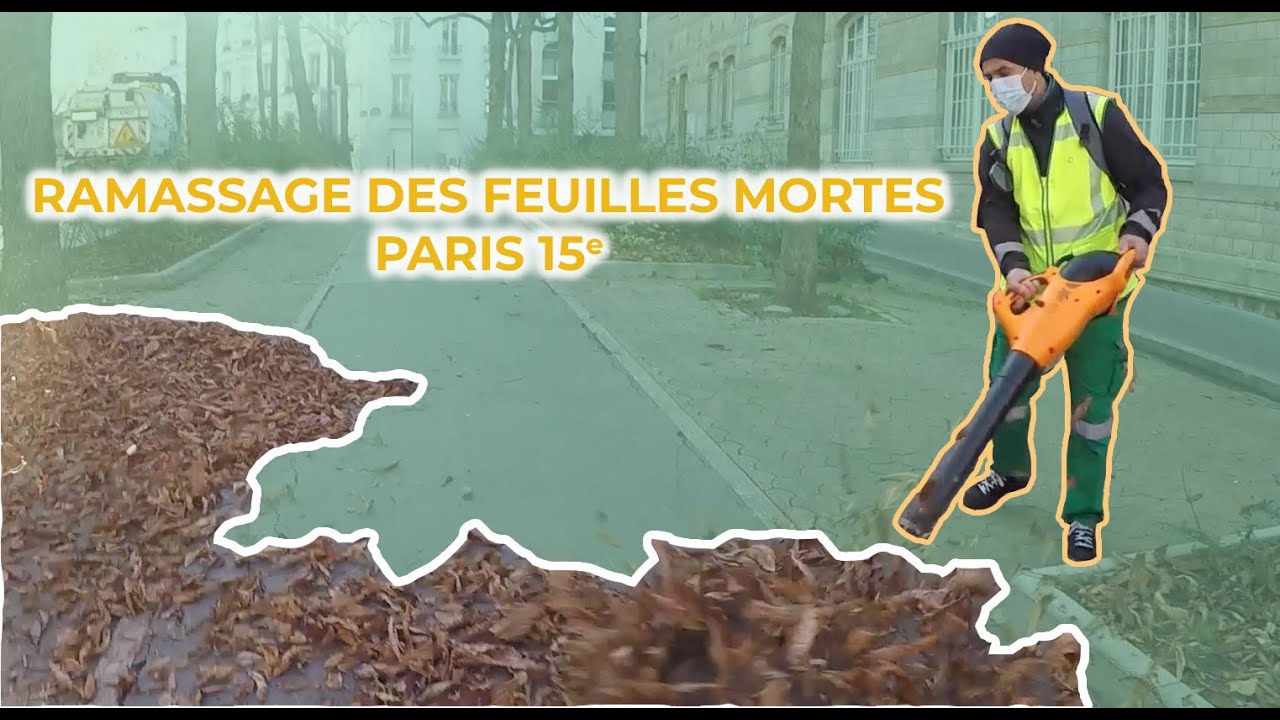 Découvrez comment les agents de la Propreté de Paris ramassent les feuilles mortes !