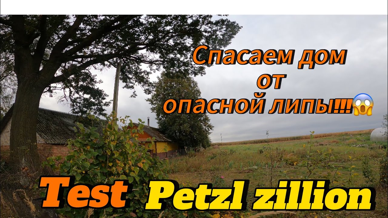 Арбористика‼️Максимально сложное дерево🌳 нависло на дом.Удаляем по частям.Тестируем Petzl zillion