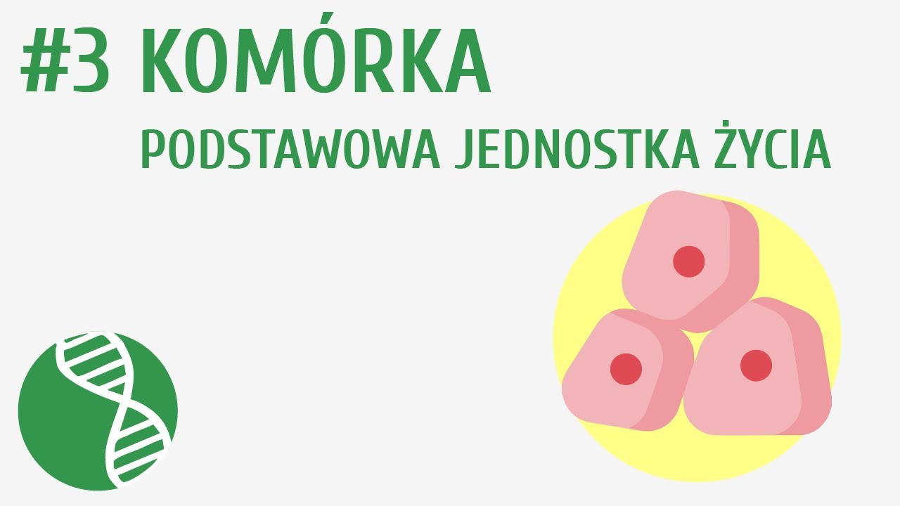 Kom&oacute;rka - podstawowa jednostka życia #3 [ Organizacja i chemizm życia ]