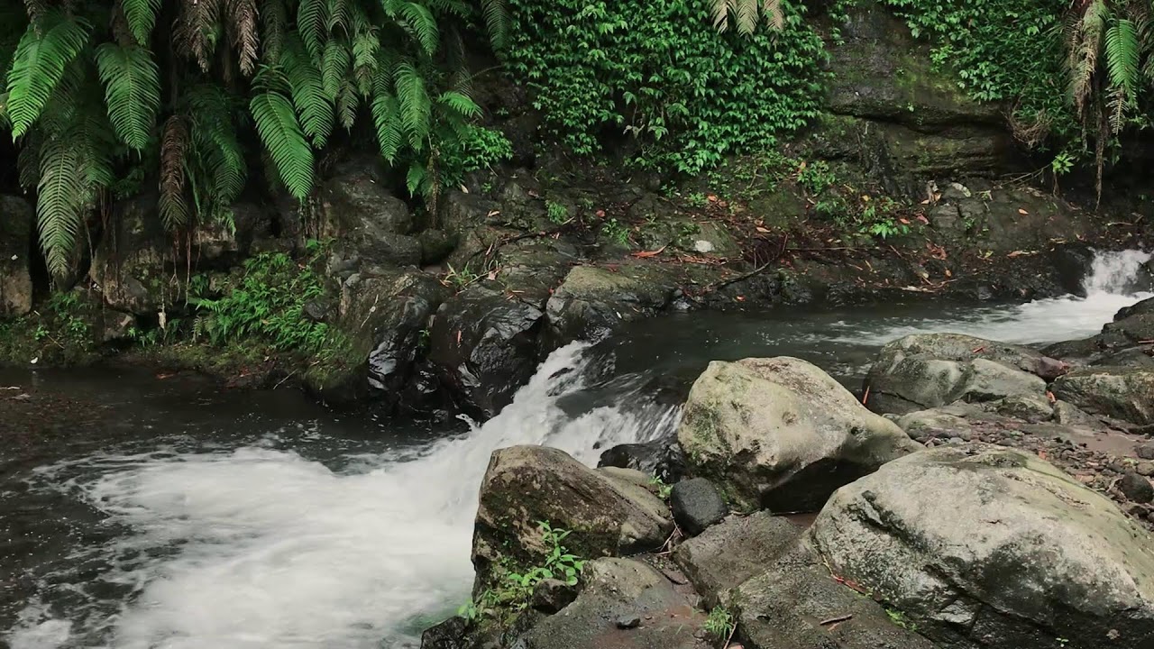 Riverbank Vibes for Restful Sleep, Deep Relaxation