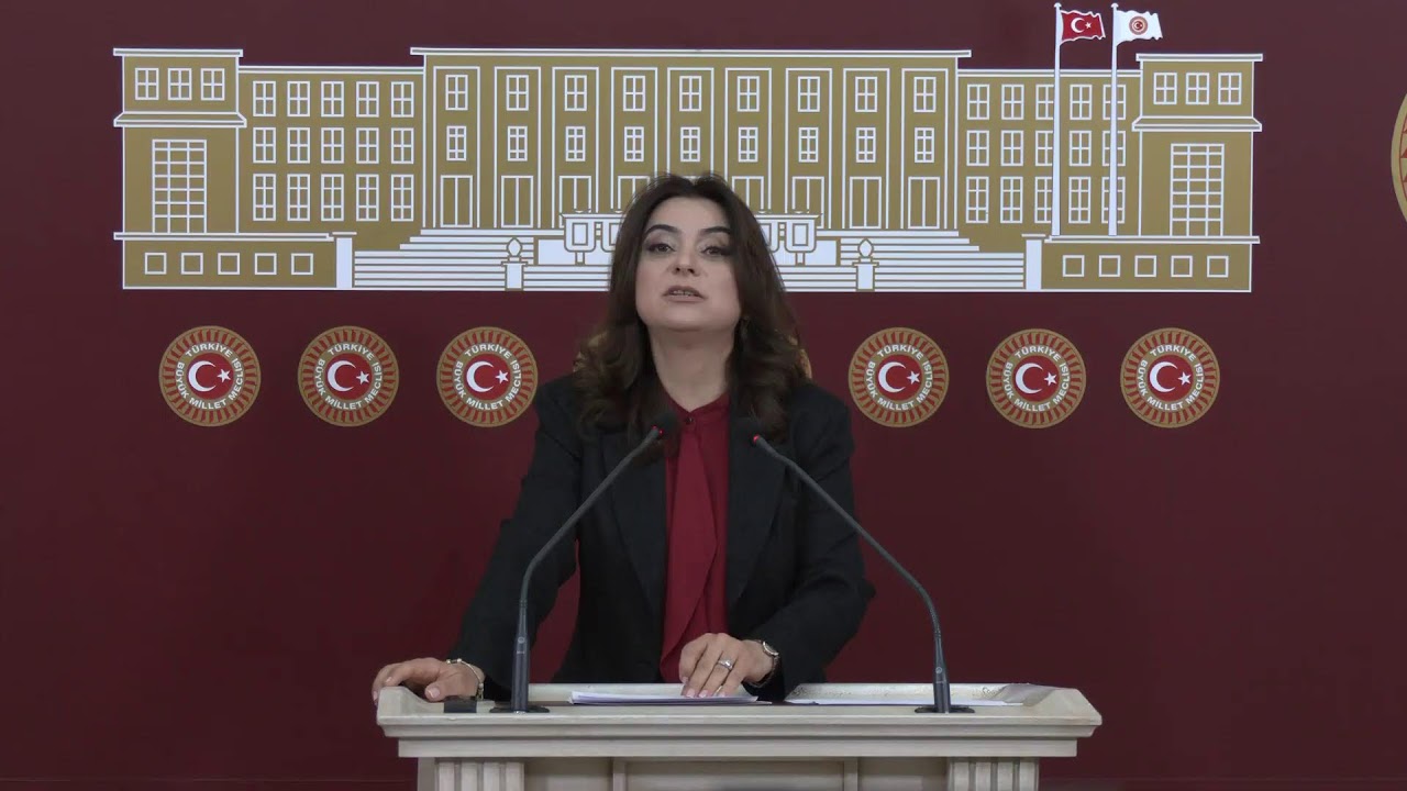 Grup Başkanvekilimiz Gülistan Kılıç Koçyiğit, Meclis’te açıklama yapıyor