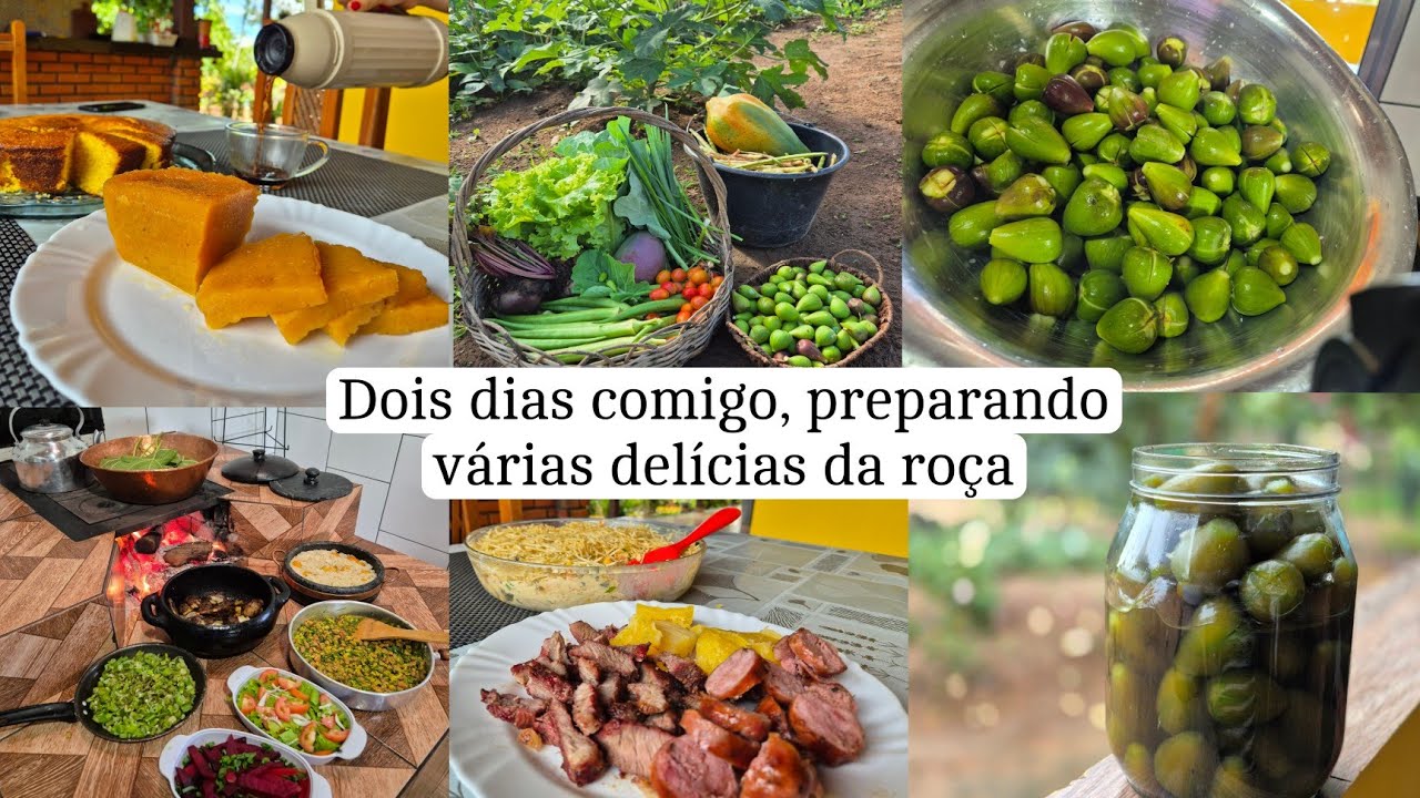 Colhendo frutas e verduras/ doce de figos/ almoço delicioso/ churrasco de domingo 