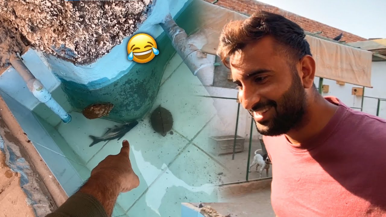 Aj Shark Fish Nay Prank Kr Dia😂